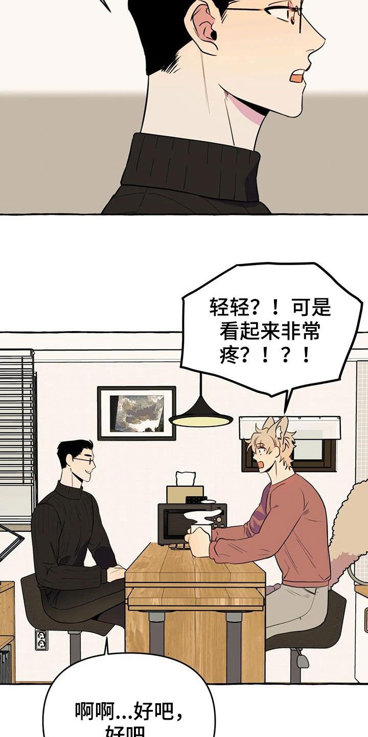第20章：命中注定