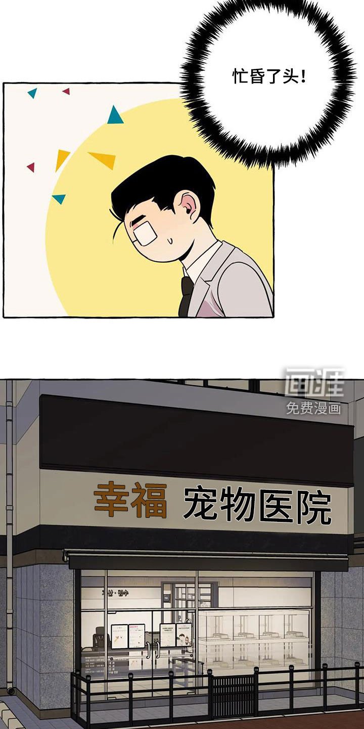 第29章：失去联系