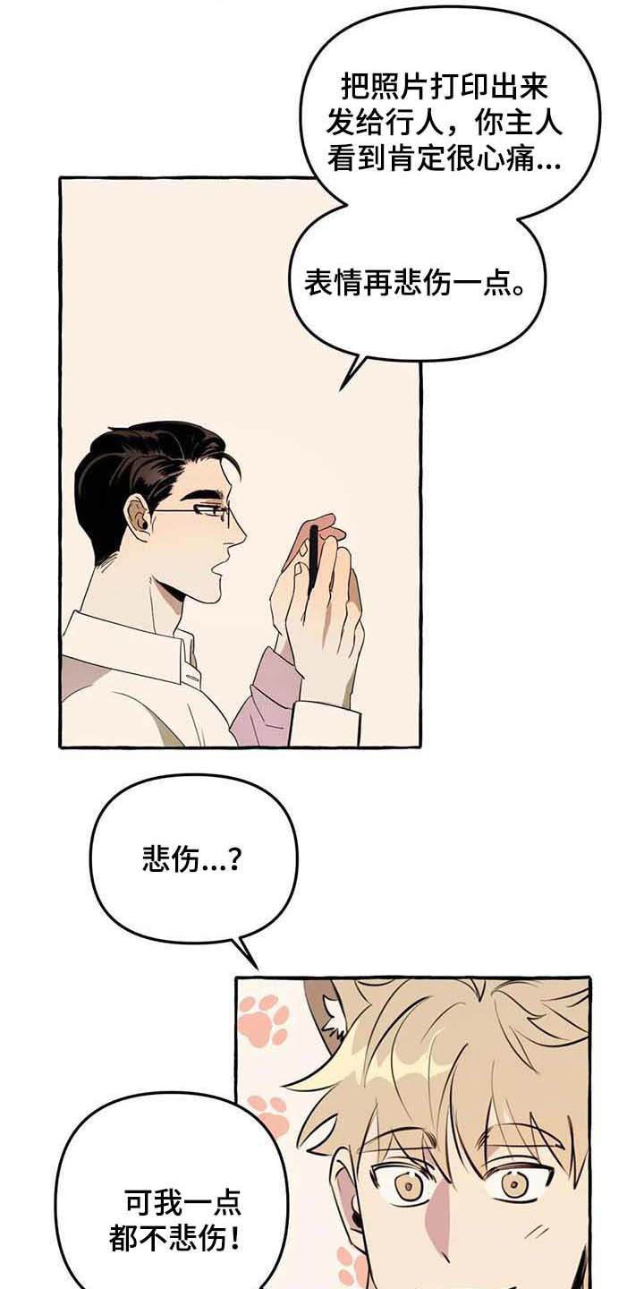 第3章：取名