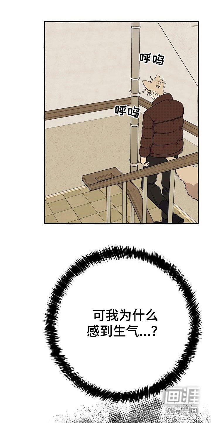 第37章：感到生气