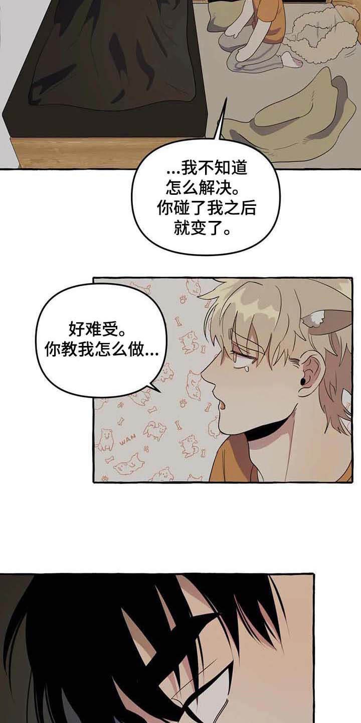 第4章：请求
