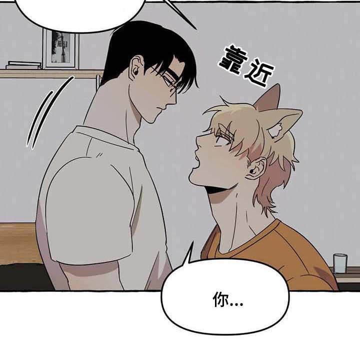 第4章：请求