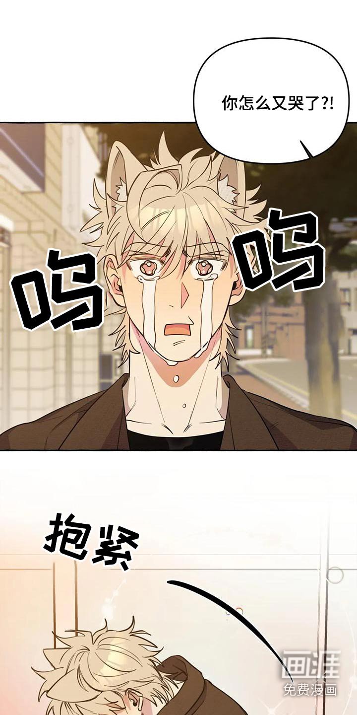 第40章：【第二季】保护