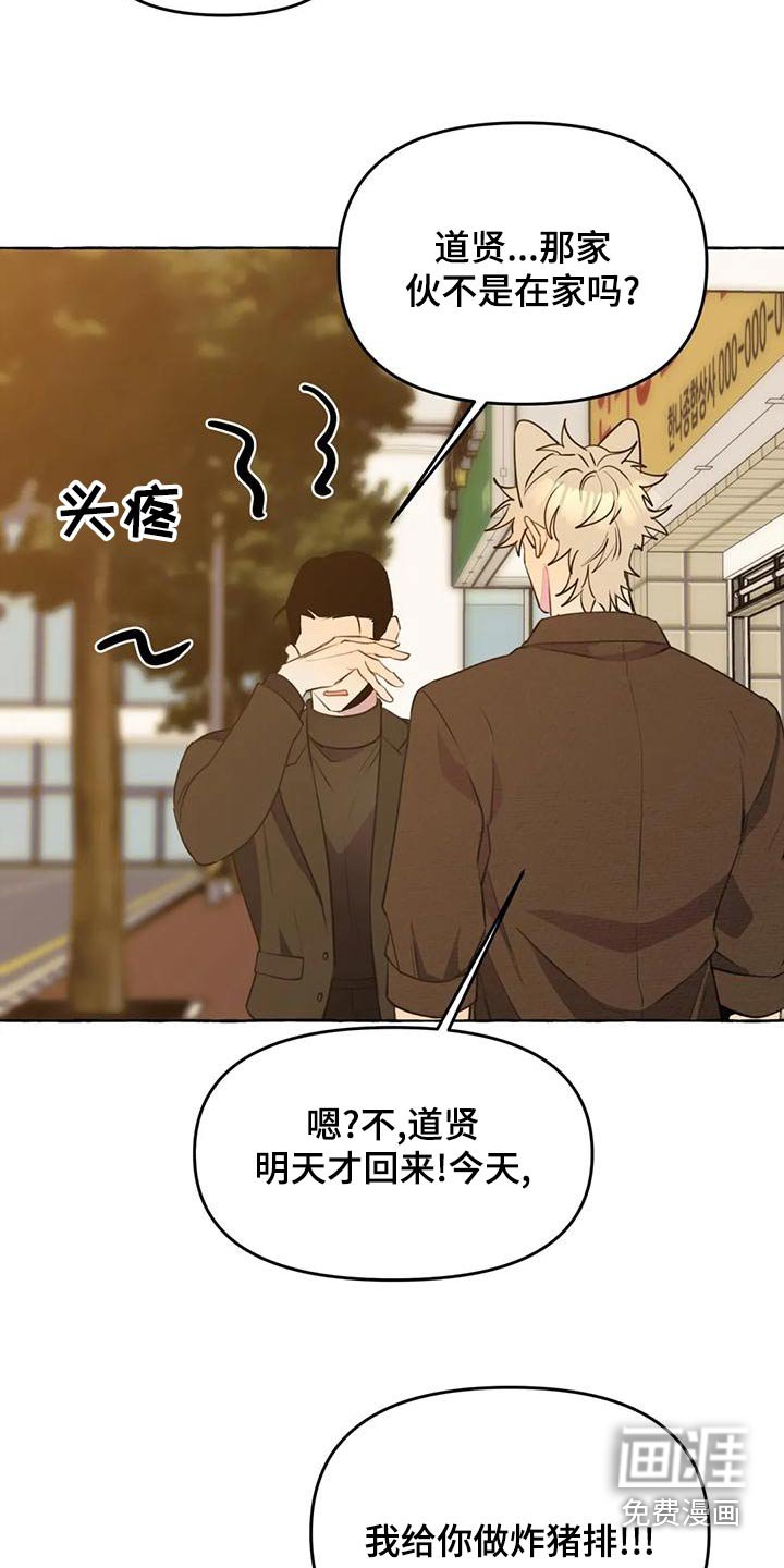 第40章：【第二季】保护