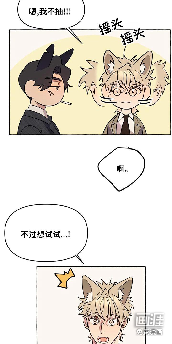 第44章：【第二季】人生