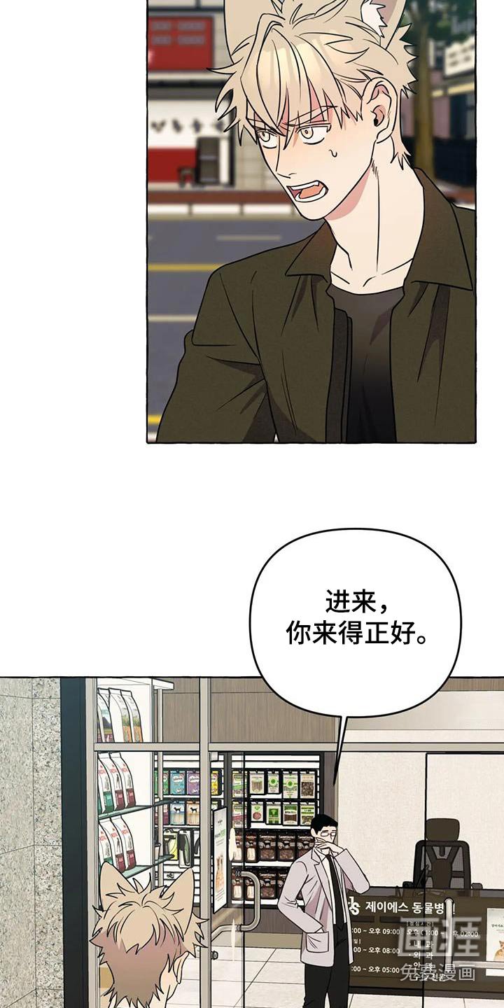 第47章：【第二季】挑衅