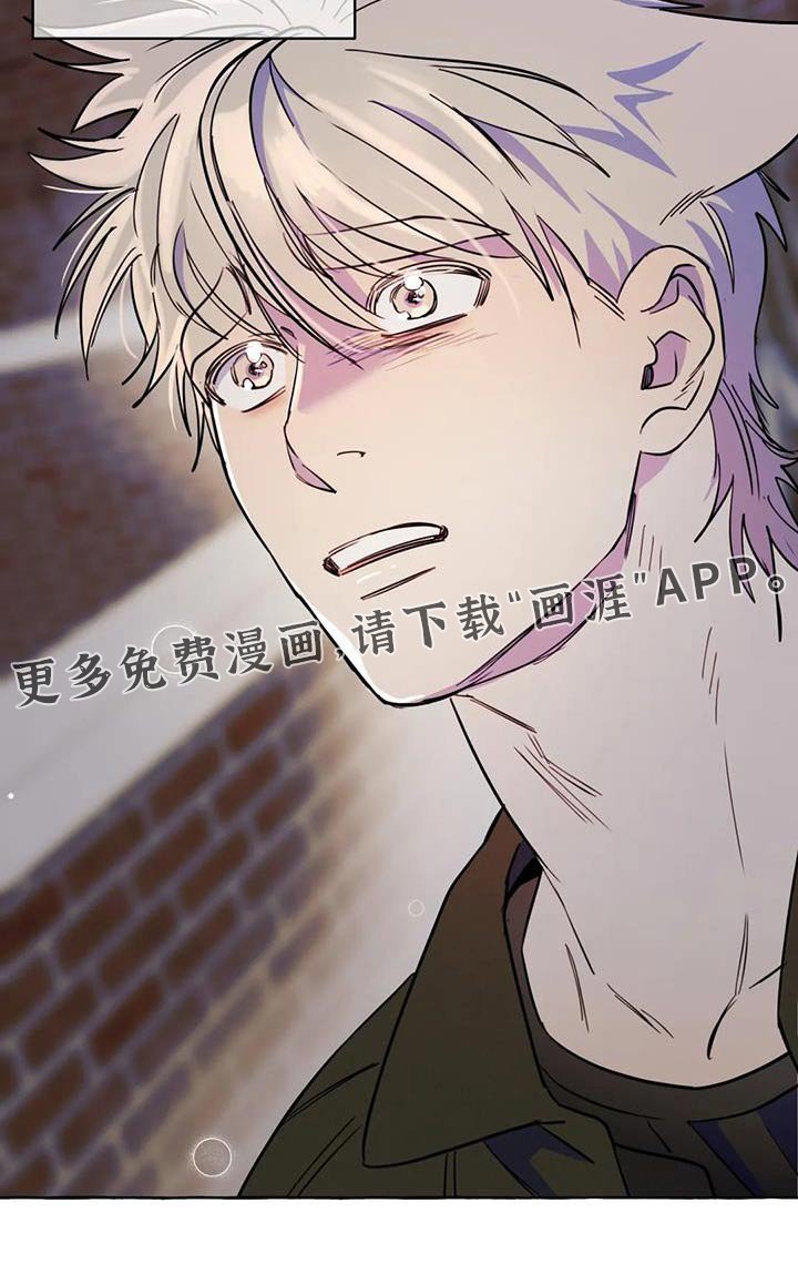 第49章：【第二季】对不起