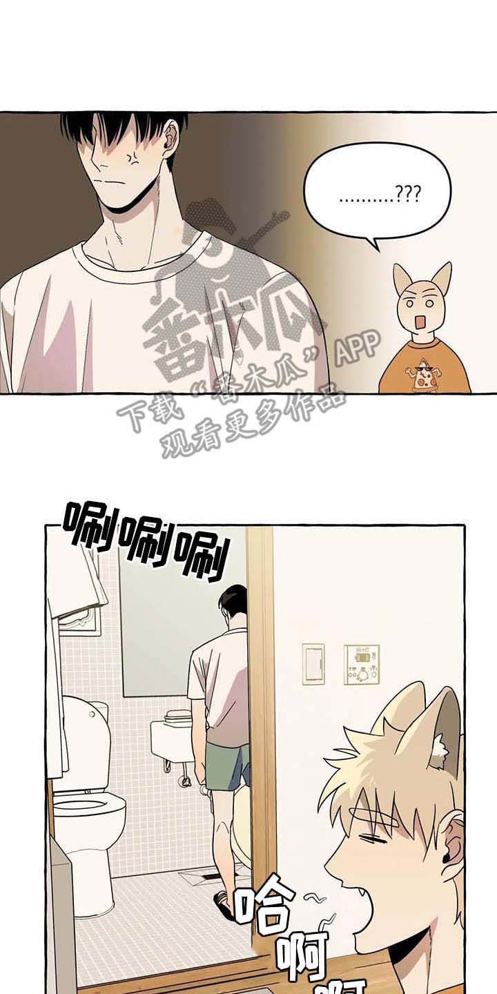 第5章：传单