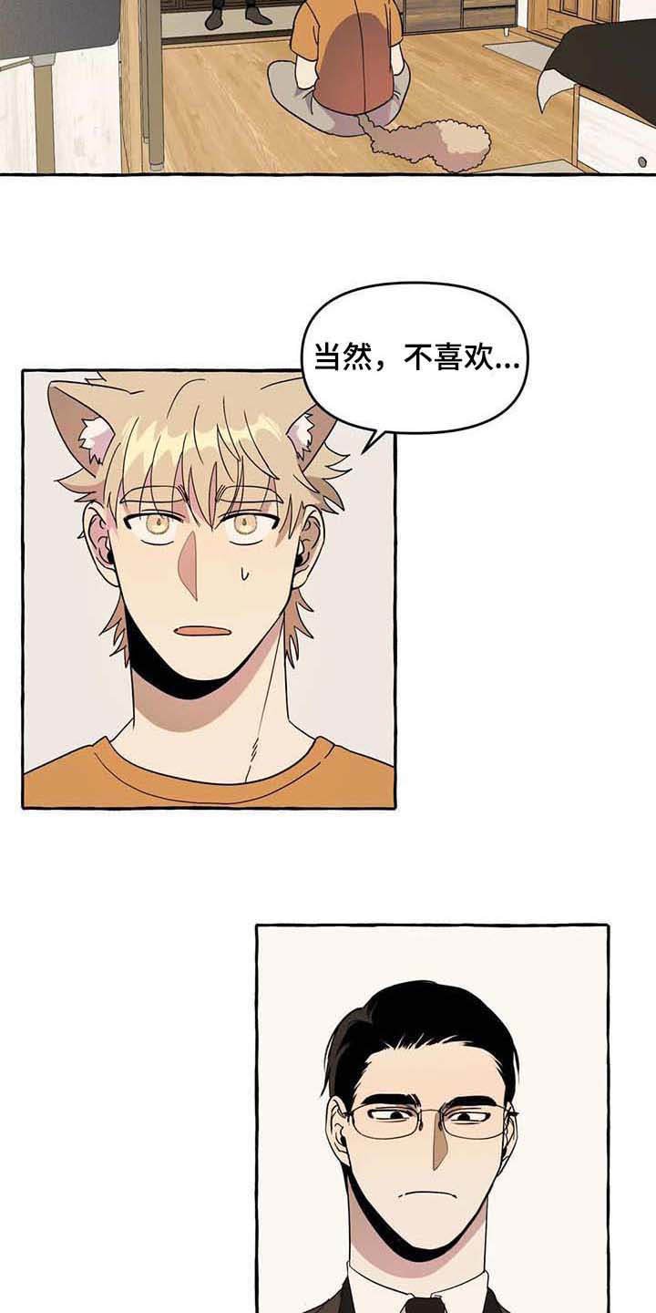 第5章：传单