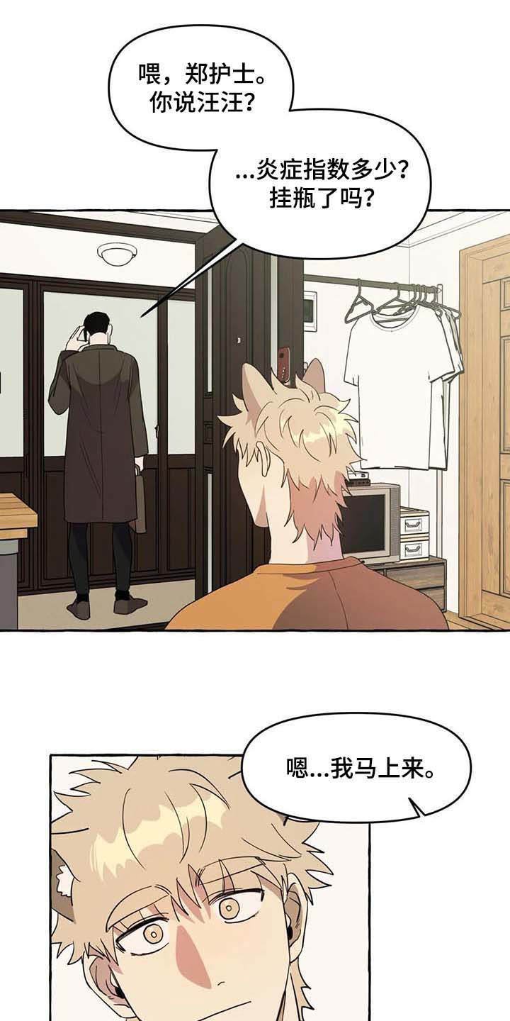 第5章：传单