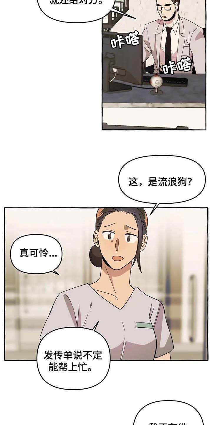 第5章：传单
