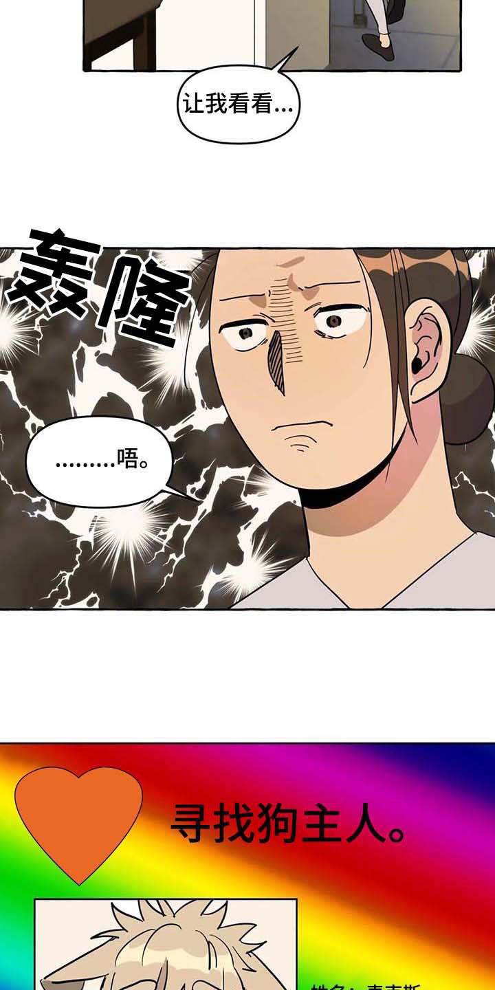 第5章：传单
