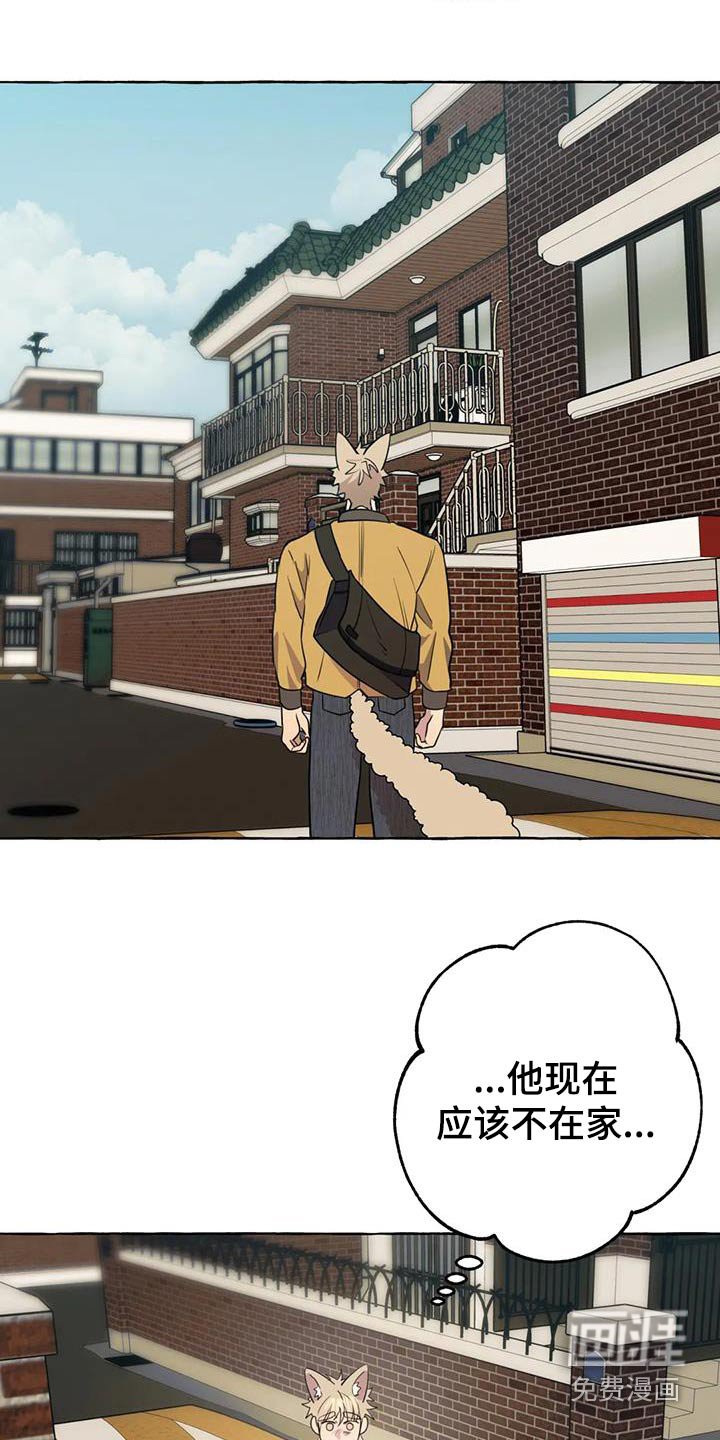 第51章：【第二季】等待
