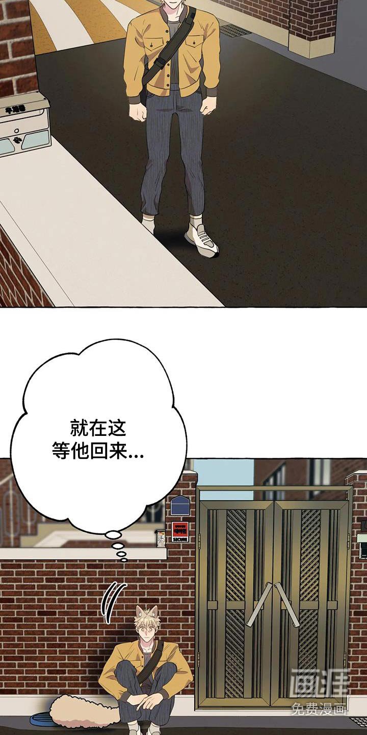 第51章：【第二季】等待