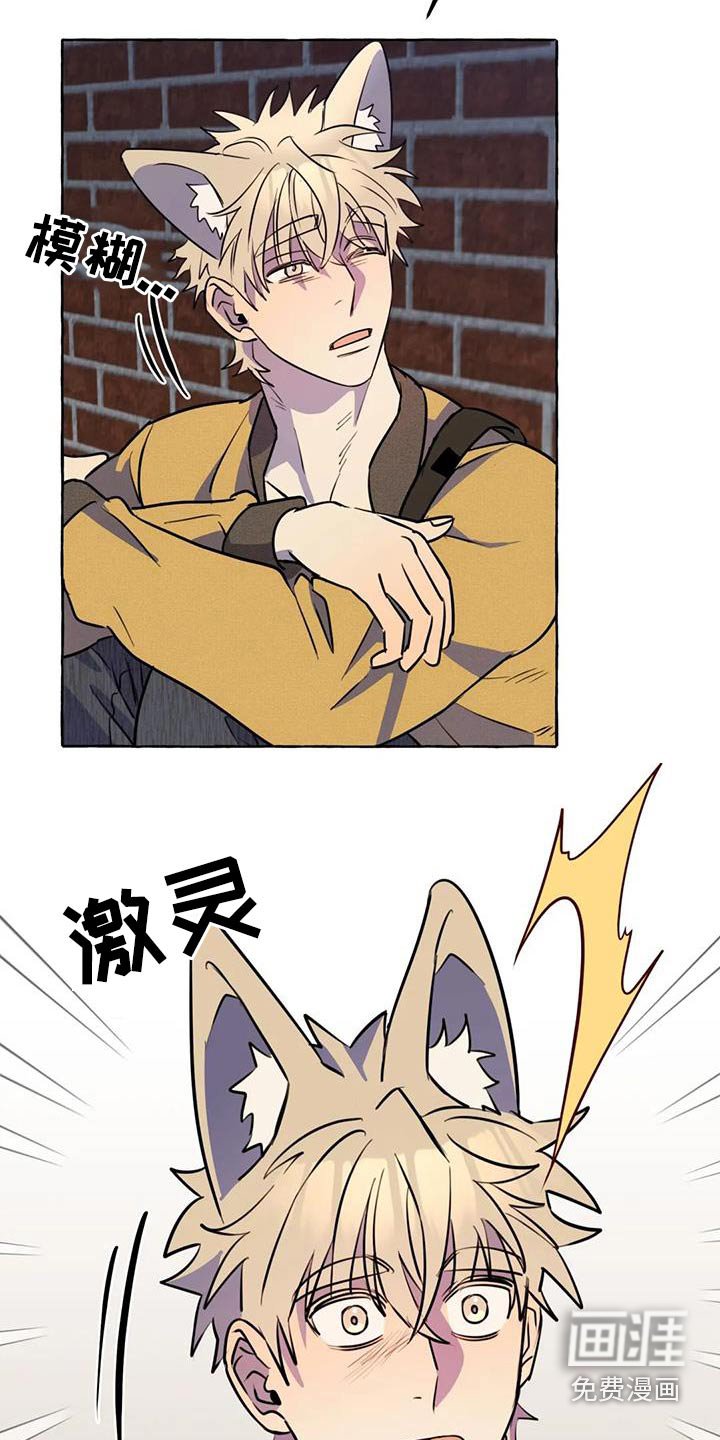 第52章：【第二季】去哪里