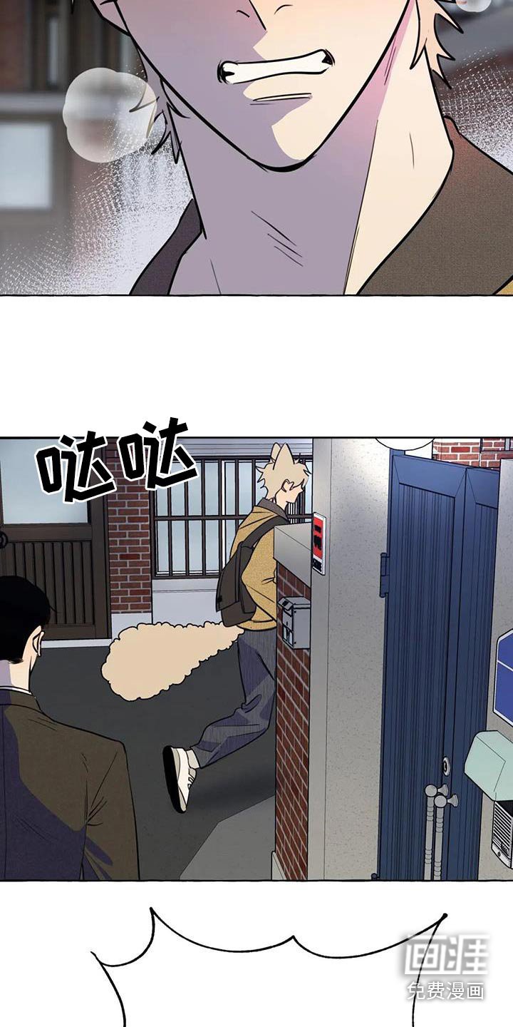 第52章：【第二季】去哪里