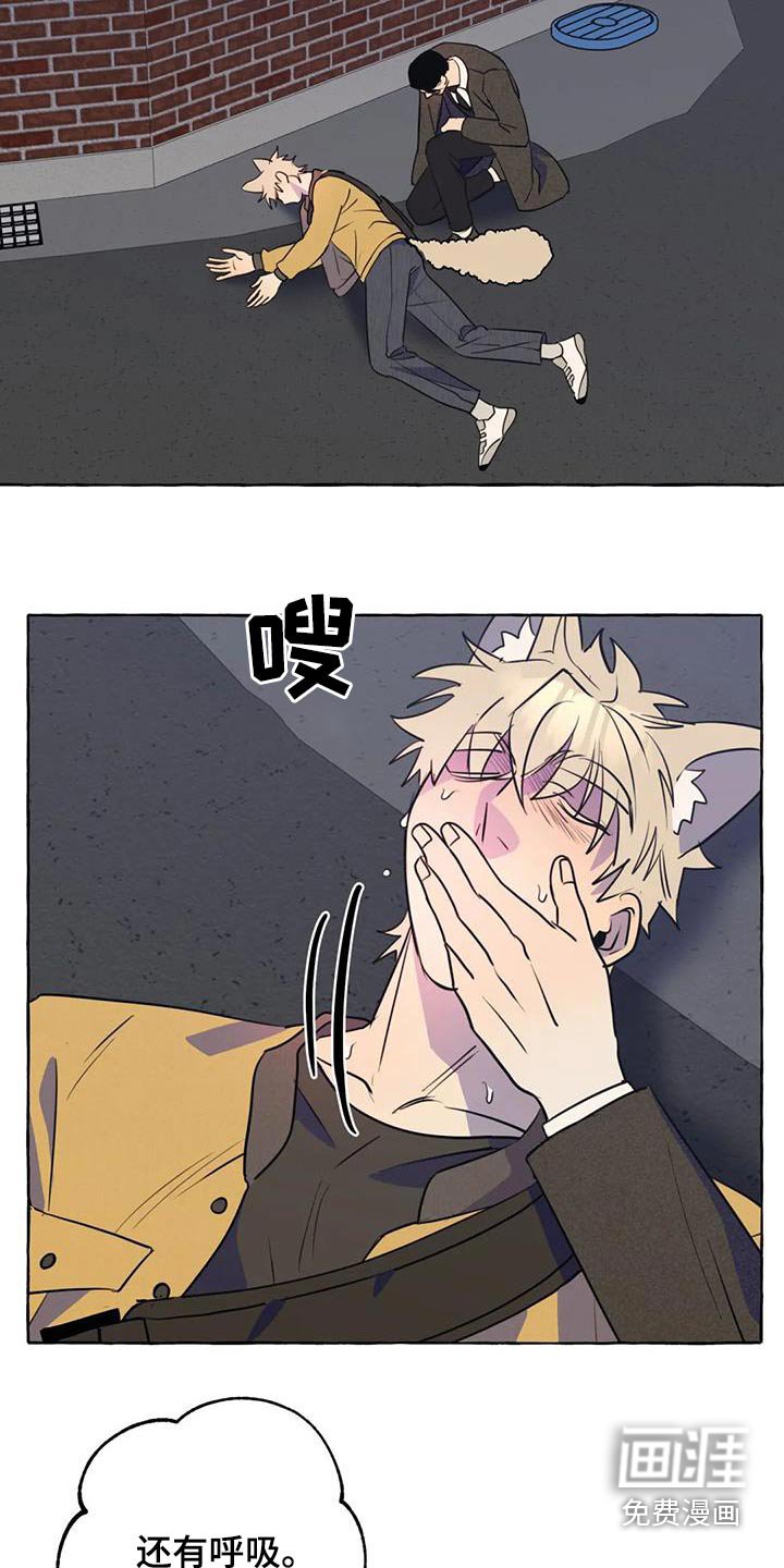 第53章：【第二季】晕倒