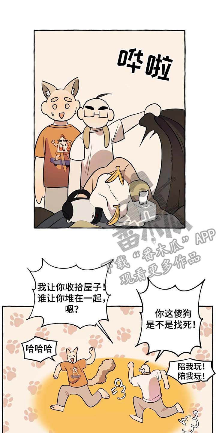 第7章：心累