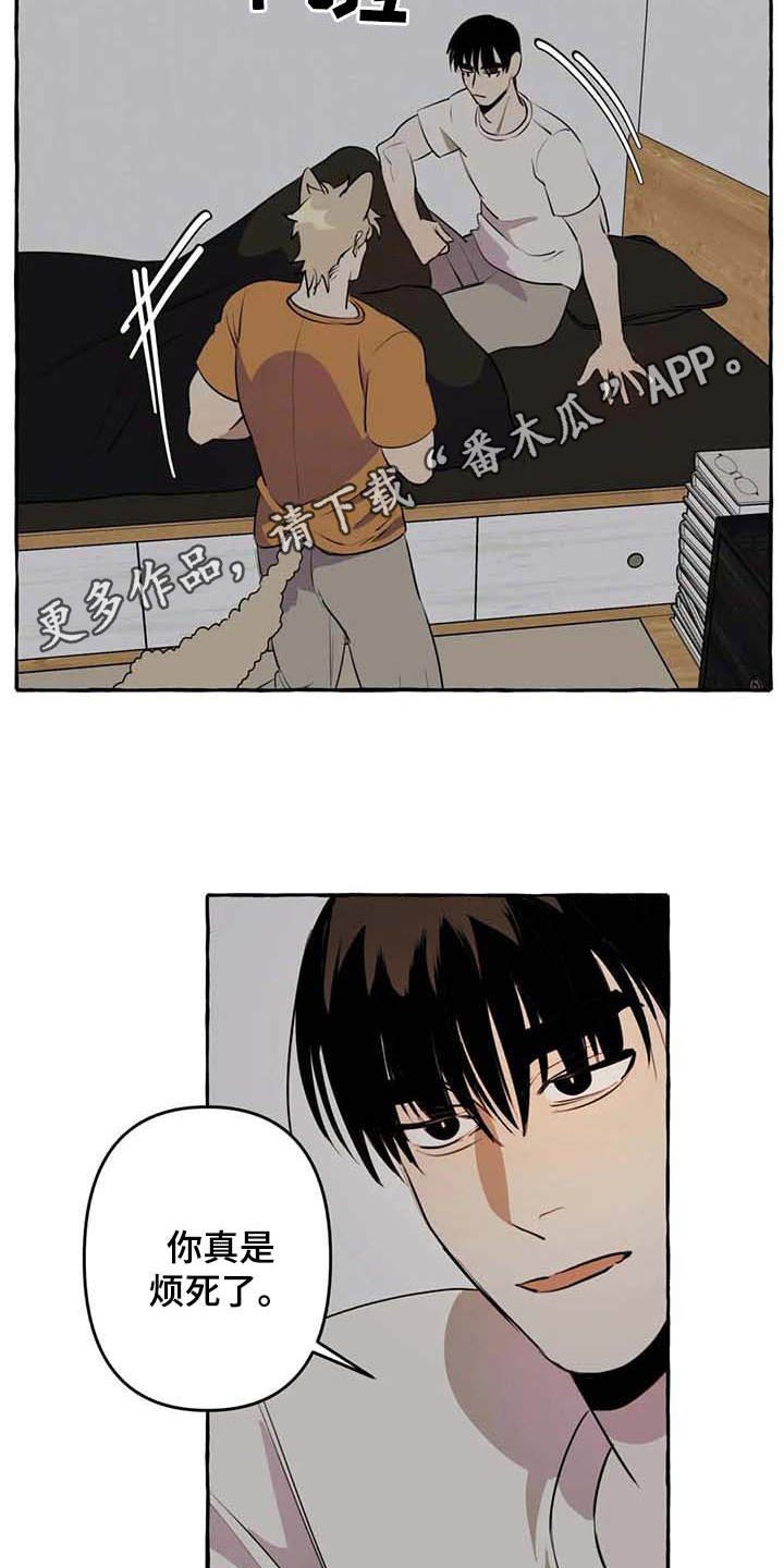 第8章：无法拒绝