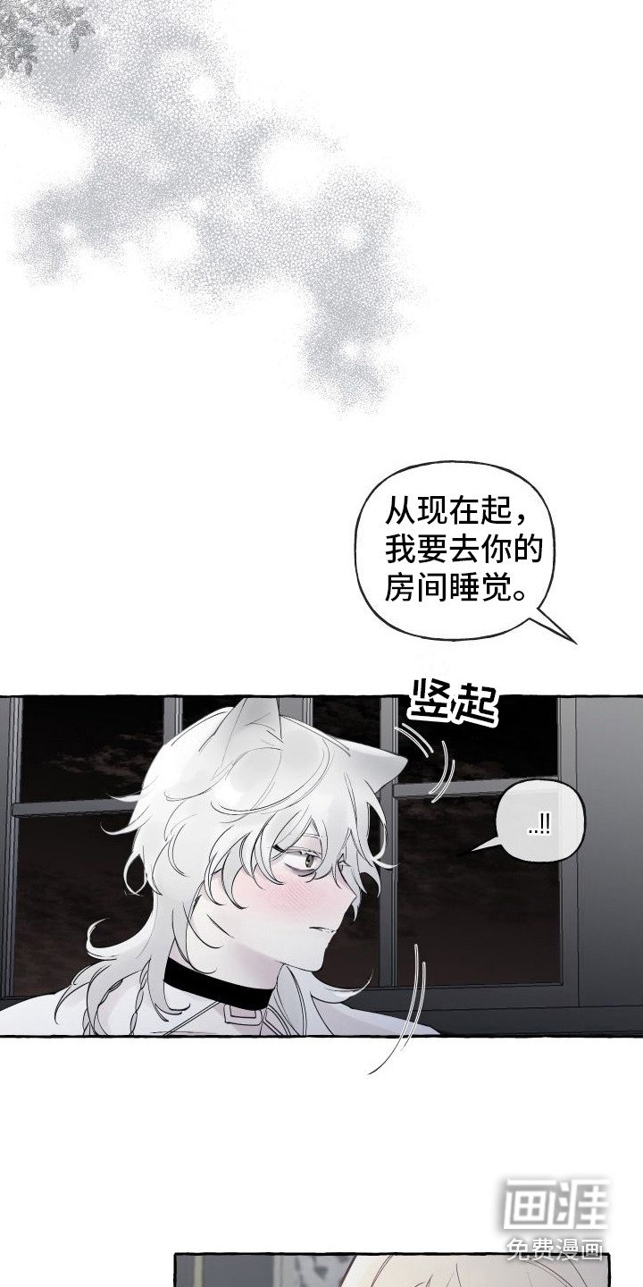 第11章：拜托
