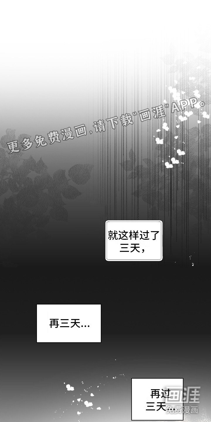 第12章： 另外的祭品