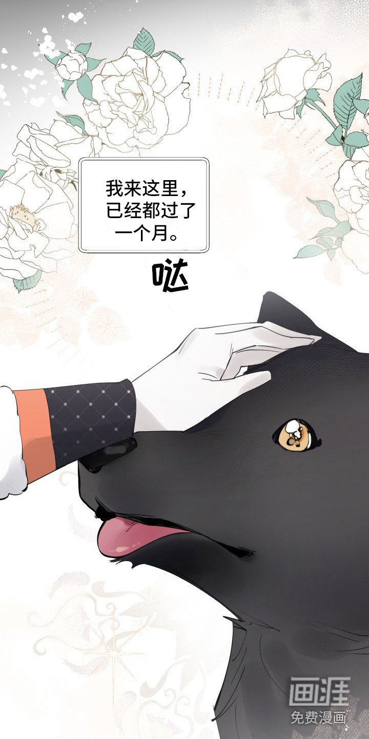 第12章： 另外的祭品