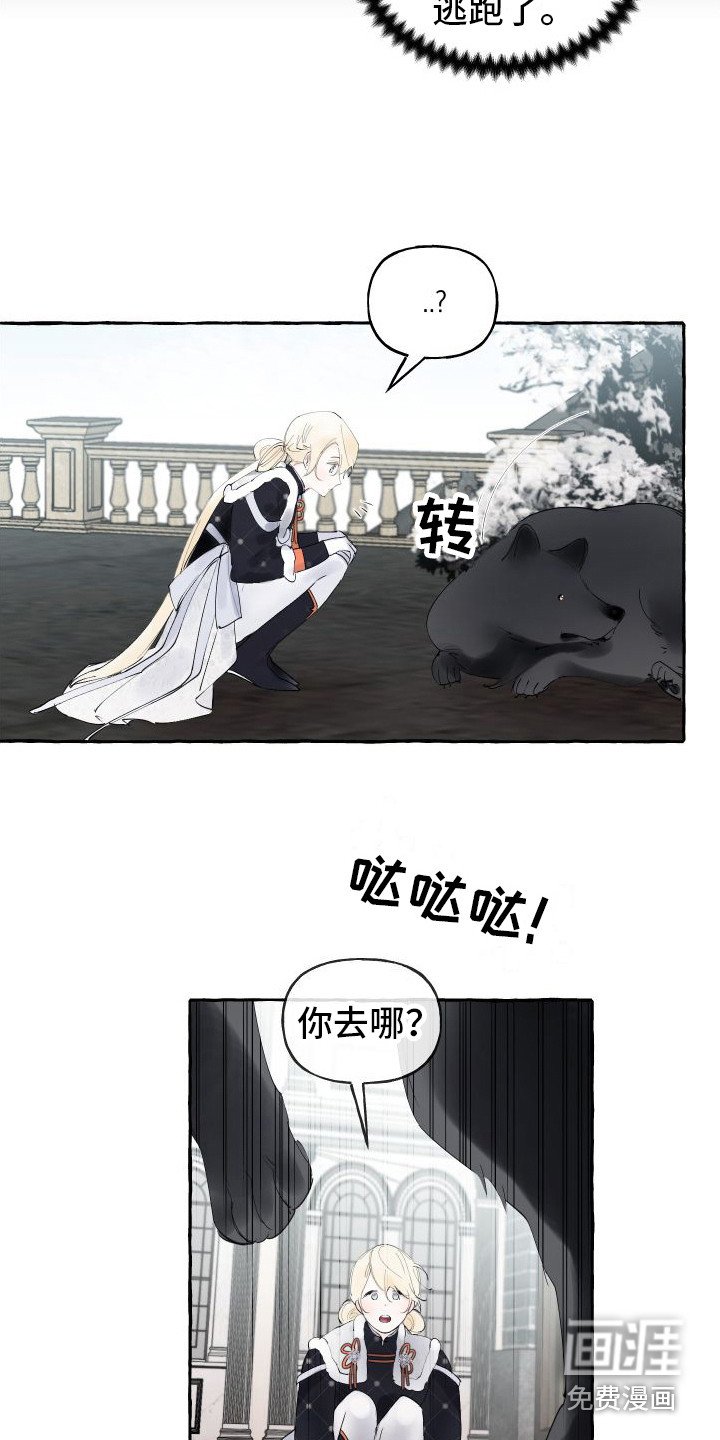 第12章： 另外的祭品