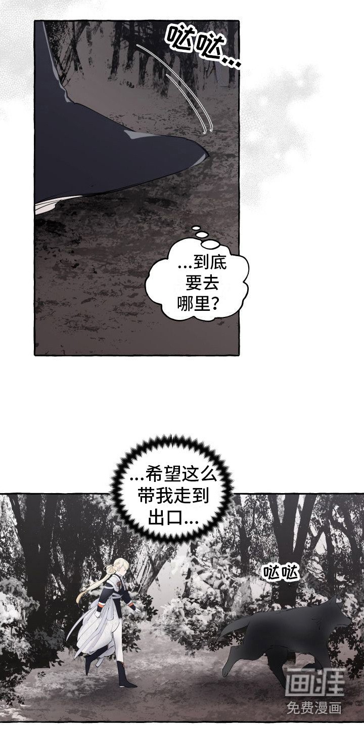 第12章： 另外的祭品