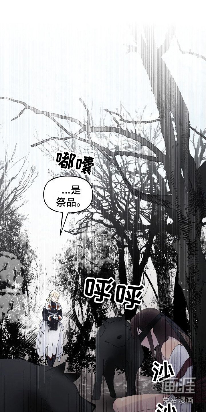 第12章： 另外的祭品