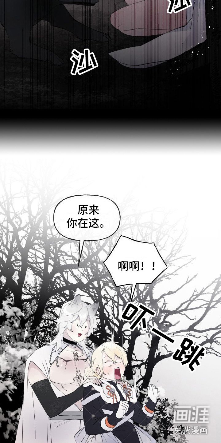 第12章： 另外的祭品