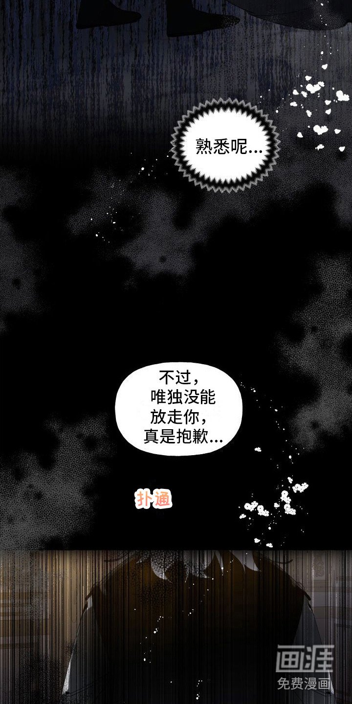 第13章：熟悉的身影