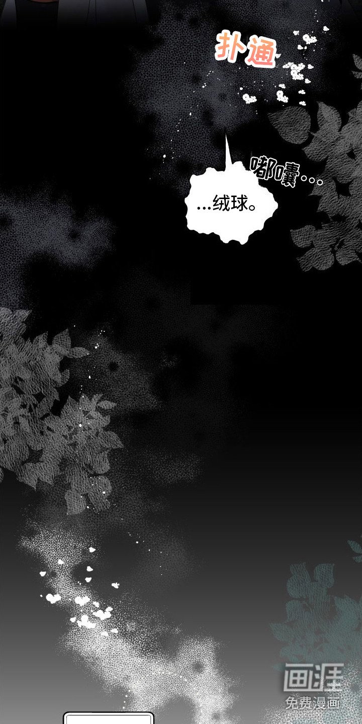第13章：熟悉的身影
