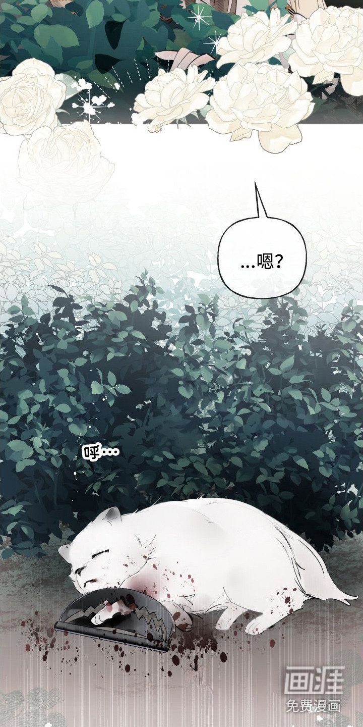 第13章：熟悉的身影