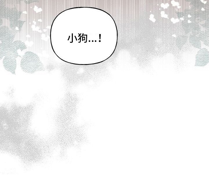 第13章：熟悉的身影