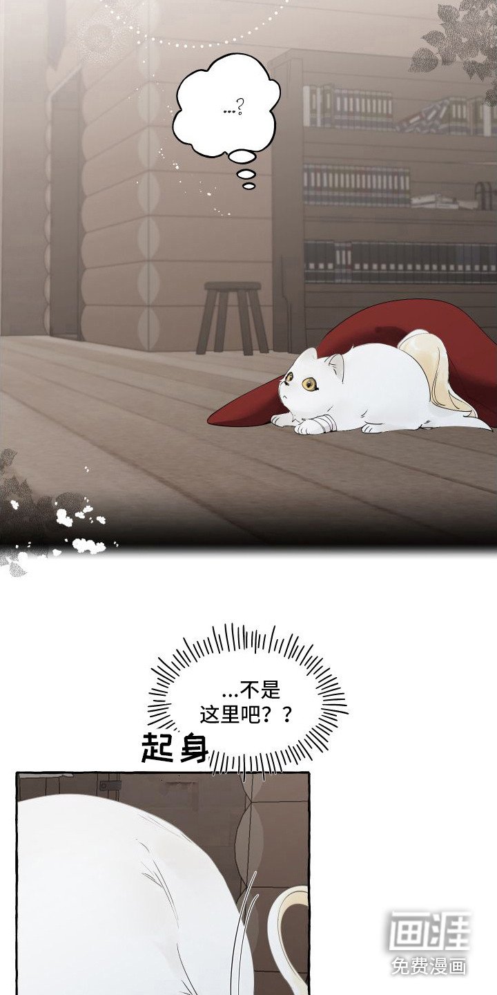 第13章：熟悉的身影