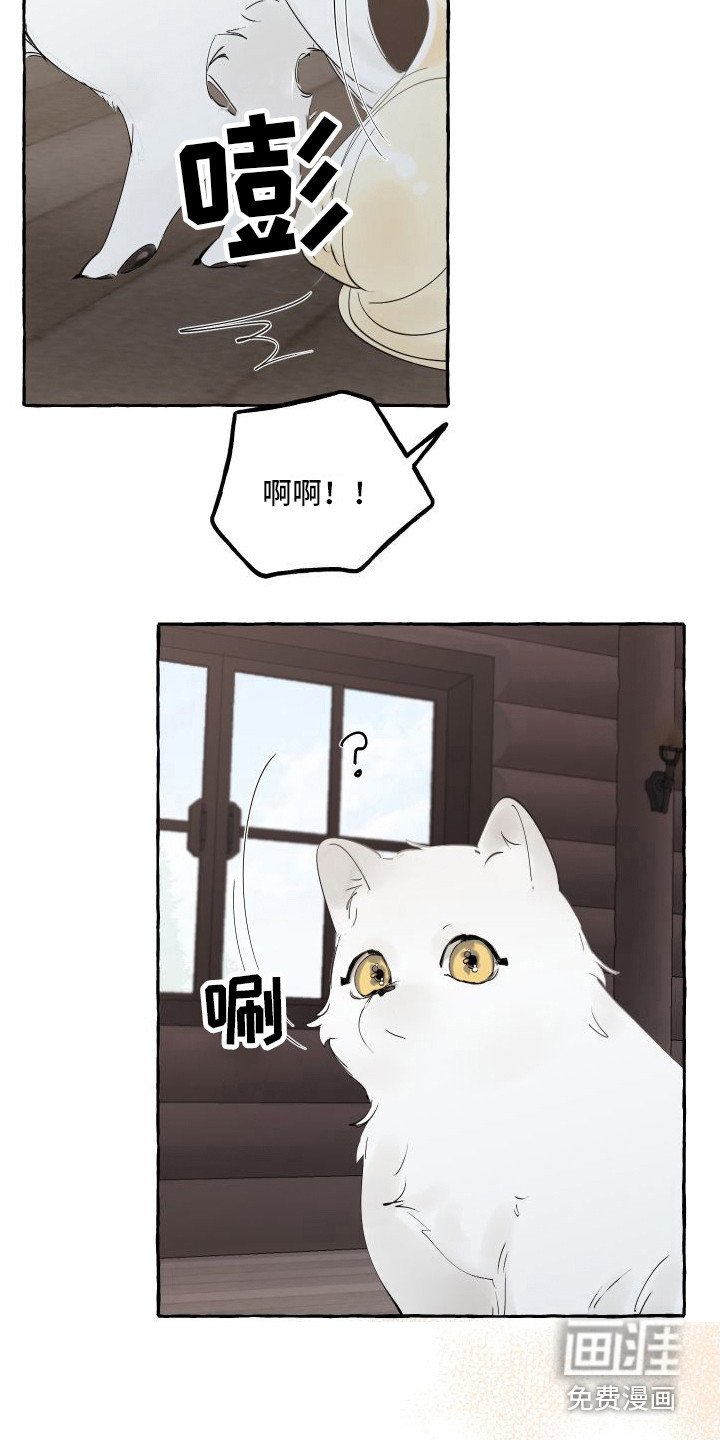 第13章：熟悉的身影