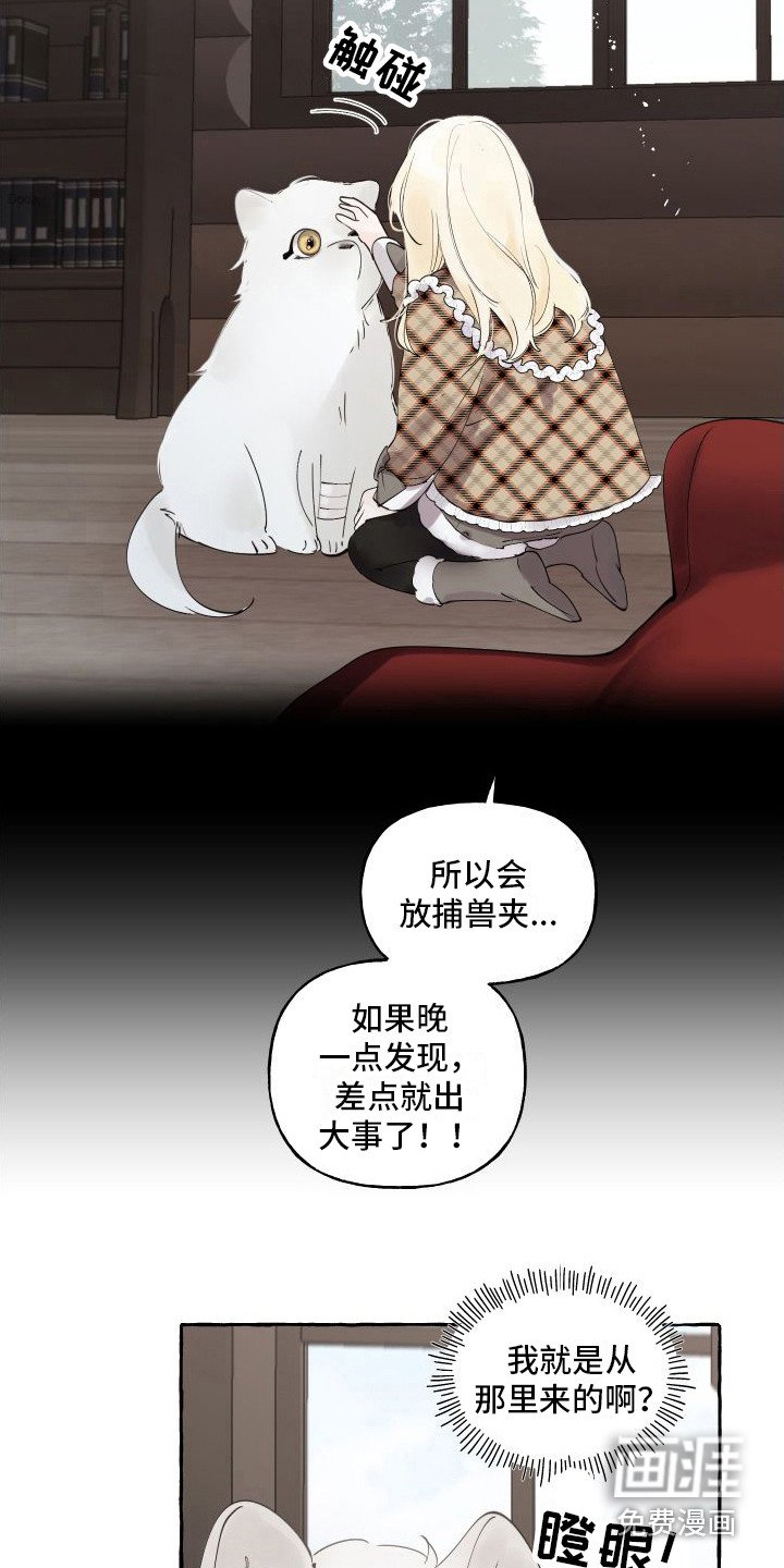第13章：熟悉的身影