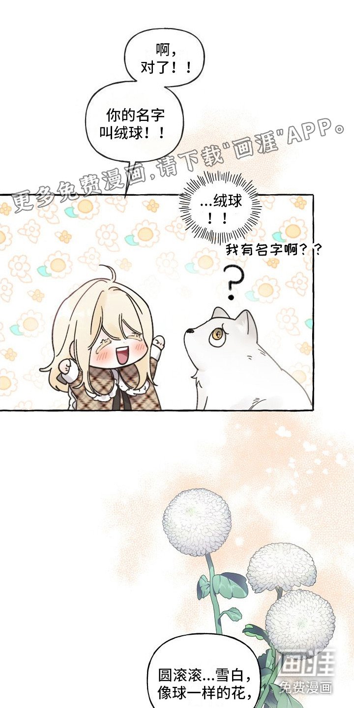 第14章：绒球