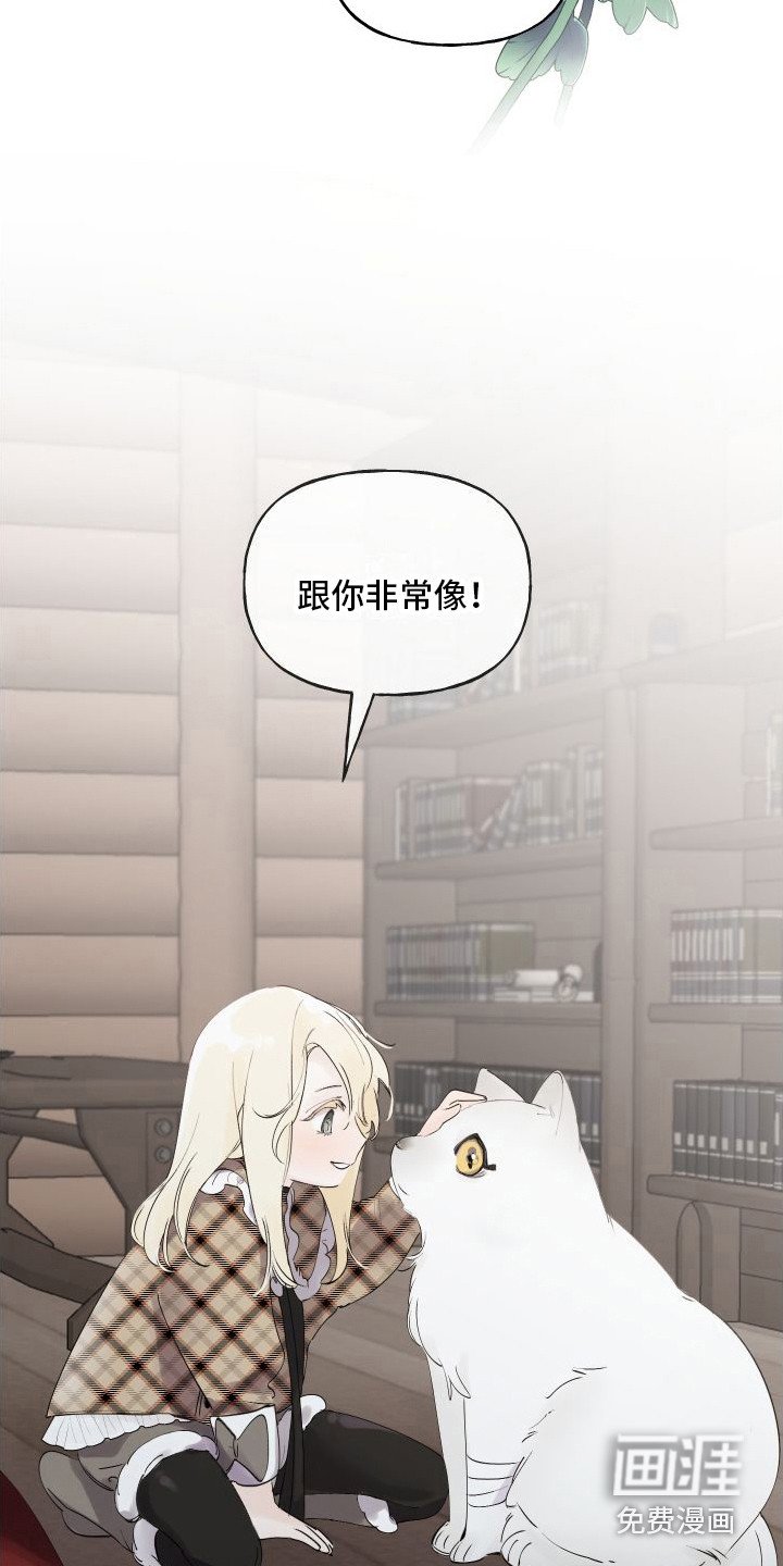 第14章：绒球