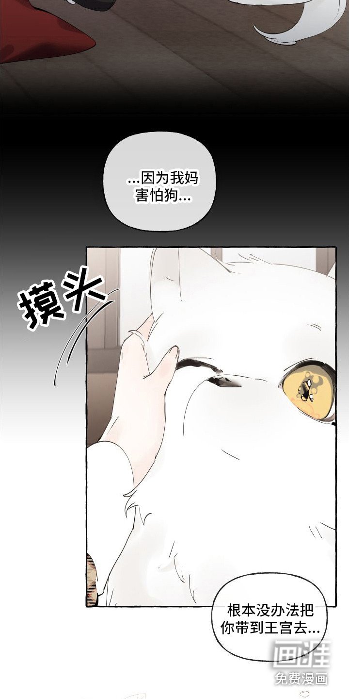 第14章：绒球