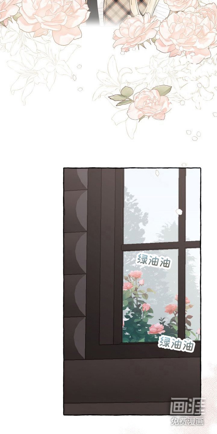 第14章：绒球