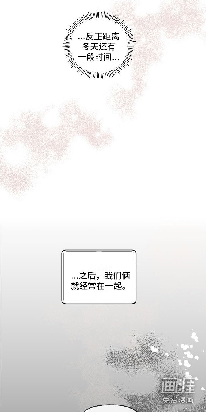 第14章：绒球