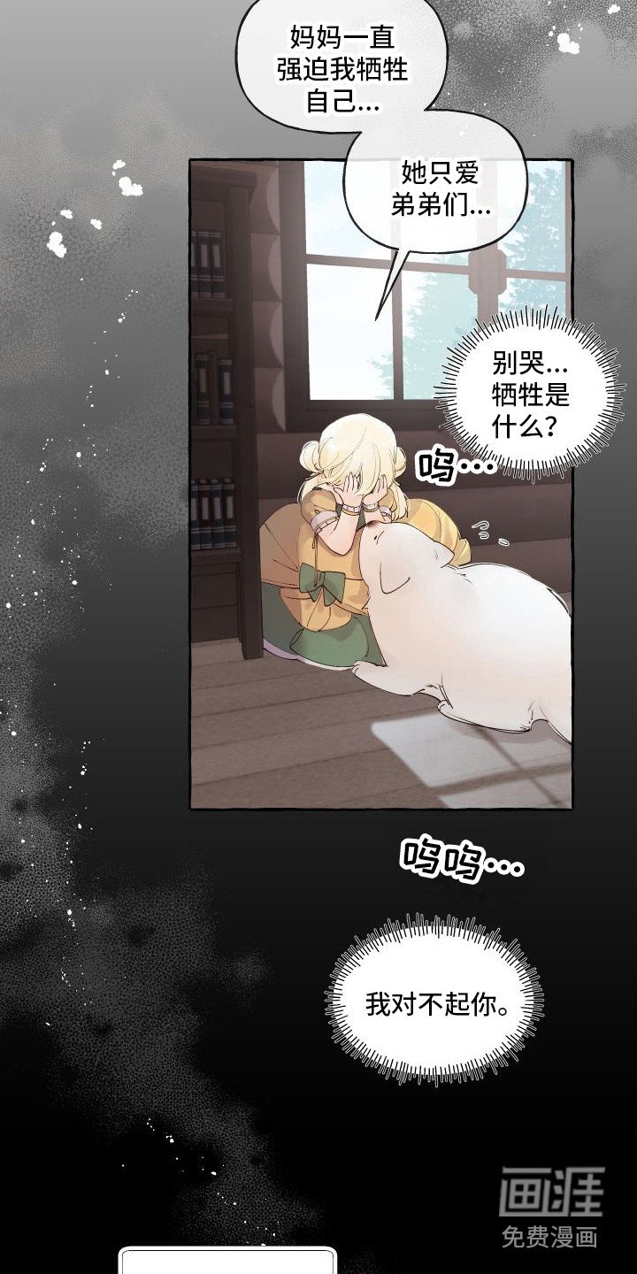 第14章：绒球