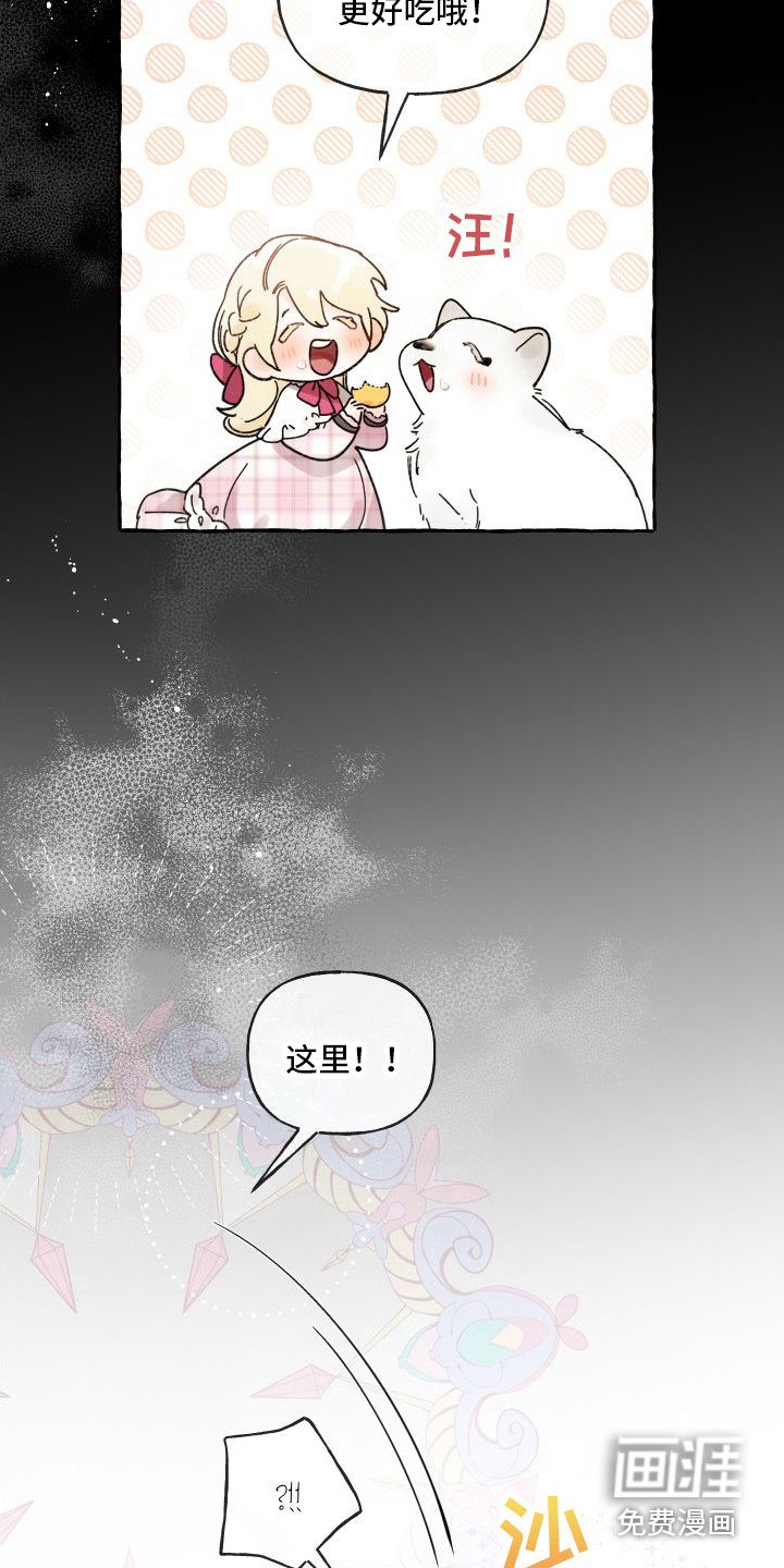 第14章：绒球