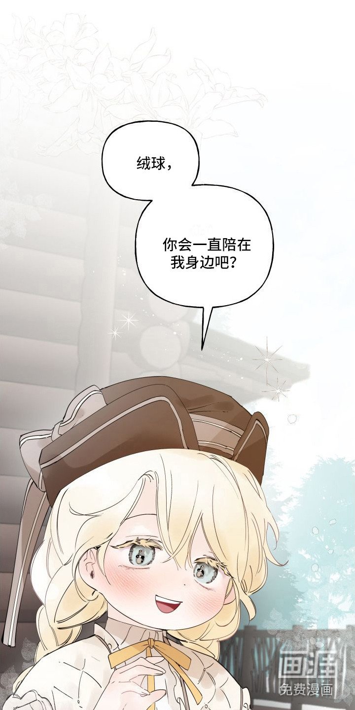 第14章：绒球