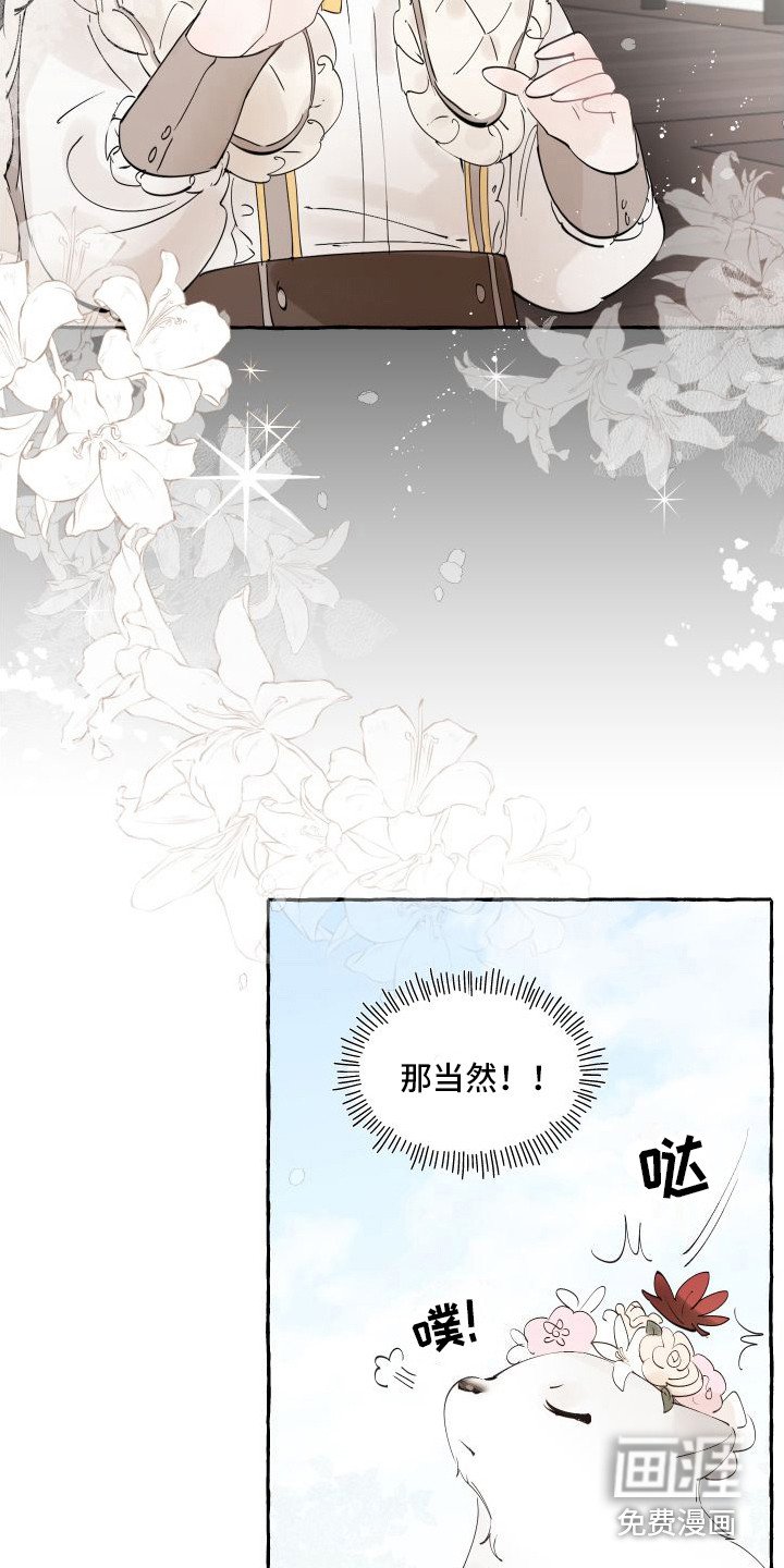 第14章：绒球