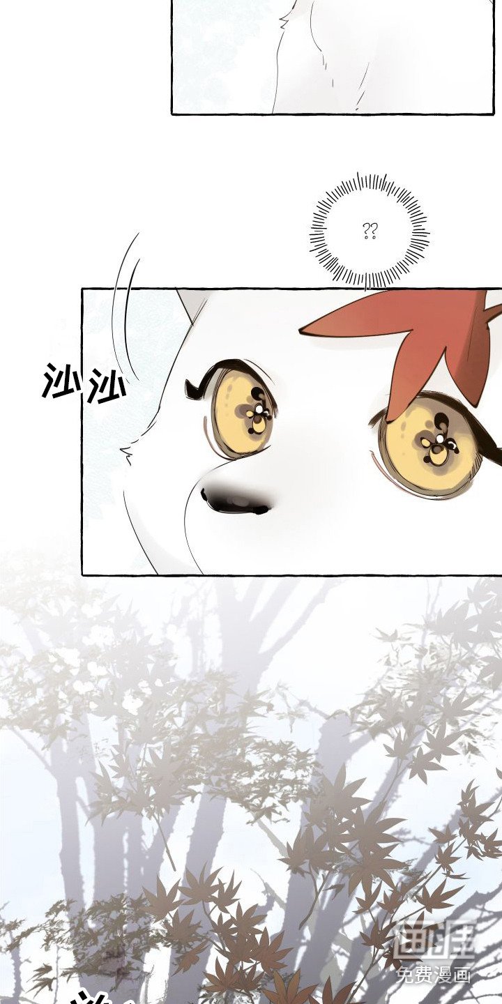 第14章：绒球