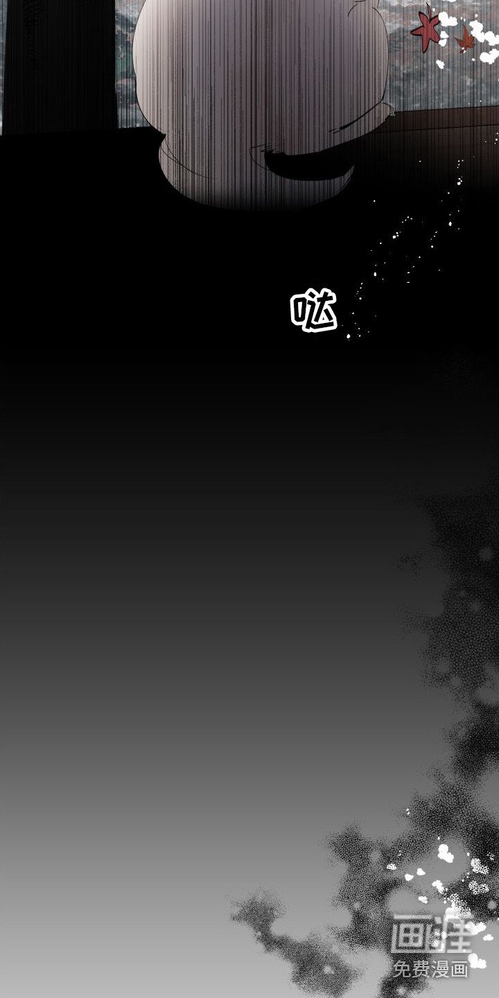 第14章：绒球