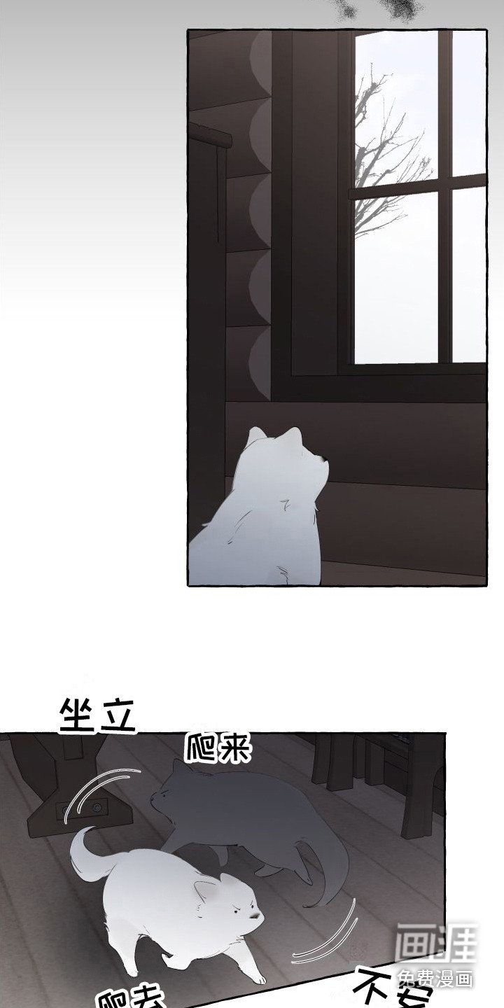 第14章：绒球