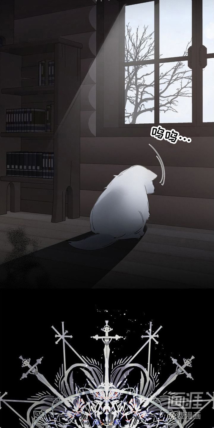 第14章：绒球